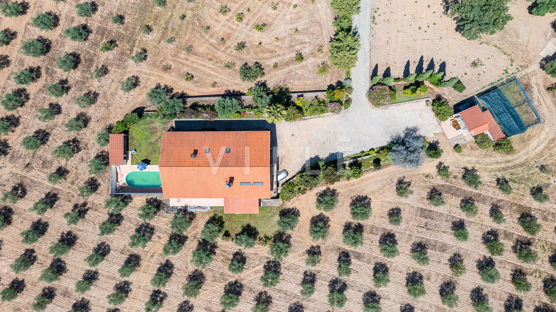 Quinta T6  em Mirandela com 7 Hectares